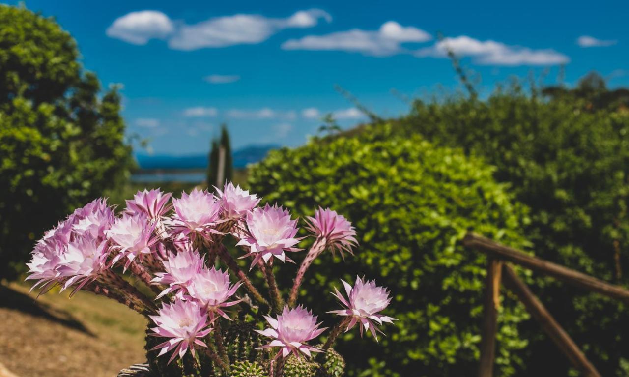 Country Relais La Mortella Country house *
